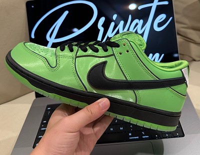 Men Dunk SB-494