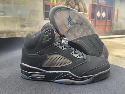 Men Jordan 5-229