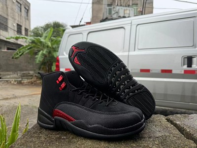 Men Jordan 12-199