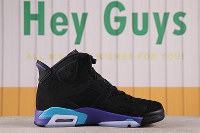 Men Jordan 6-389