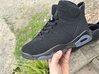Men Jordan 6-391