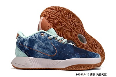 LeBron James Young-004