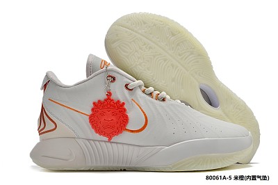 LeBron James Young-008