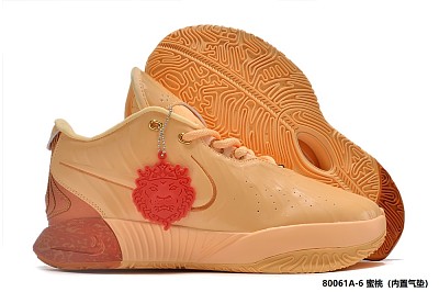 LeBron James Young-011
