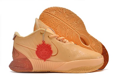 LeBron James-015
