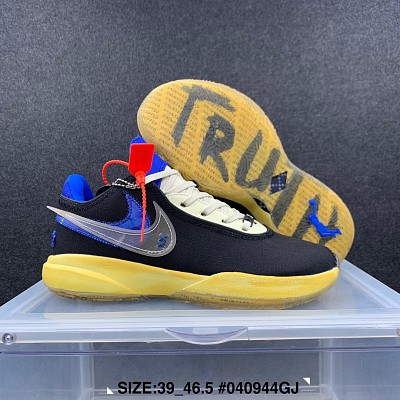 LeBron James-021