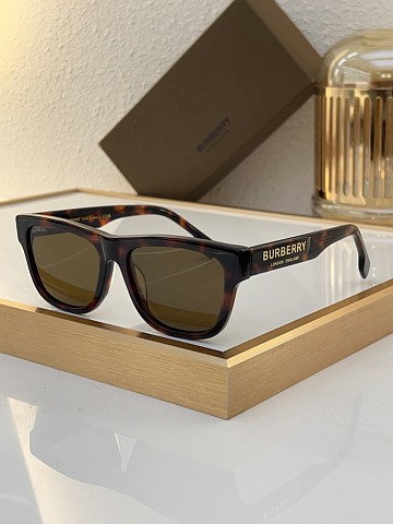 Burbery Glasses-115