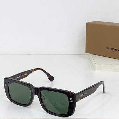 Burbery Glasses-148