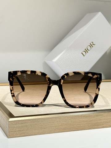 Dio Glasses-384