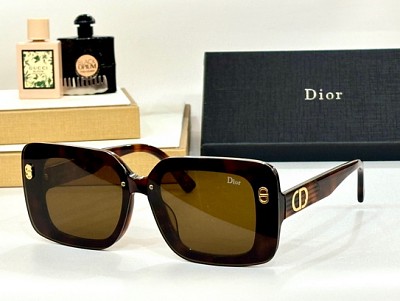 Dio Glasses-484