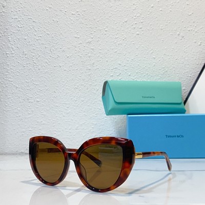 Tiffan Glasses-494